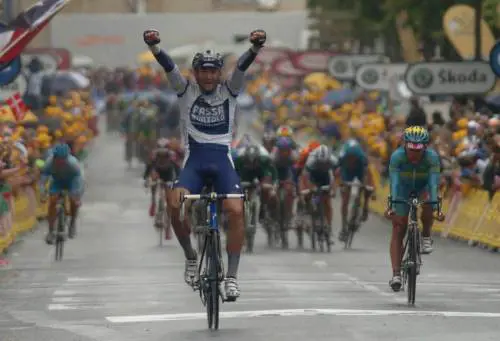 Alberi malati da abbattere, lelenco ora è on line