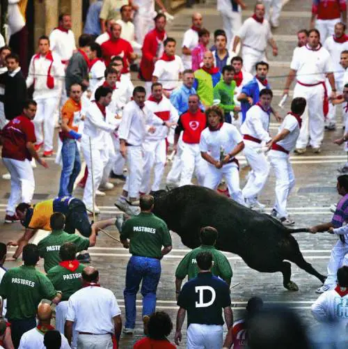In giardino alla ricerca di comfort e colore
