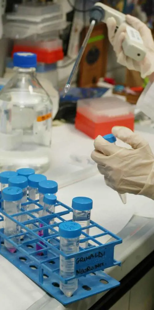 «Rispetta il verde» Scatta la campagna coi volti dei milanesi