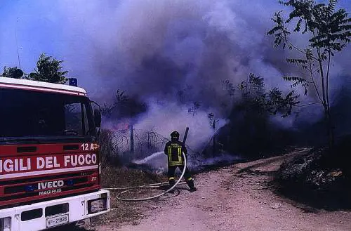 Berna, il feto in mostra scatena la polemica