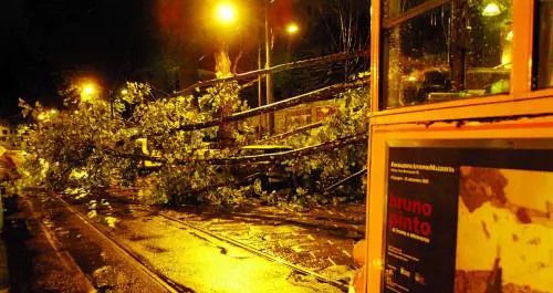 Estate al Museo tra geni, giochi e origami