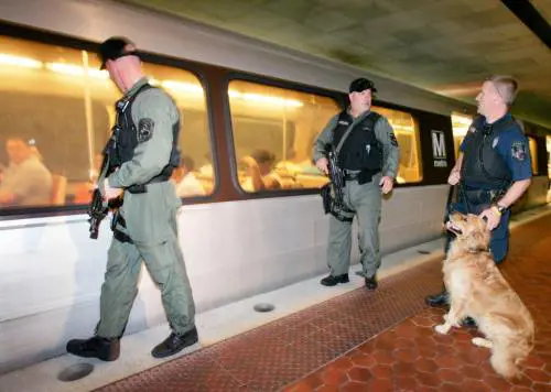 «Tra 10 anni Europa a secco di Diesel»