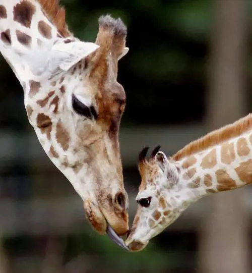 Divorzio tra Valtellinese e Julius Baer