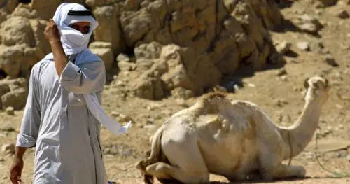 Un calcio alla legge