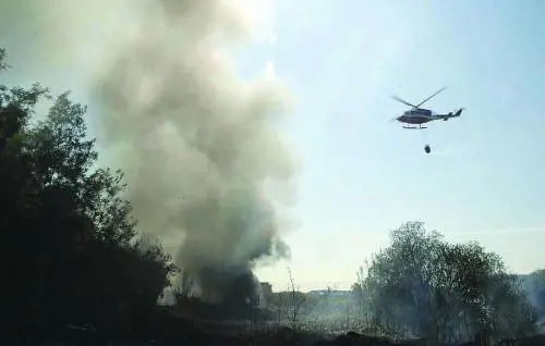 Donna in balìa del branco nellinferno di Colle Oppio
