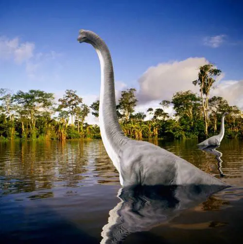 «Cara Firenze, nostro amuleto»