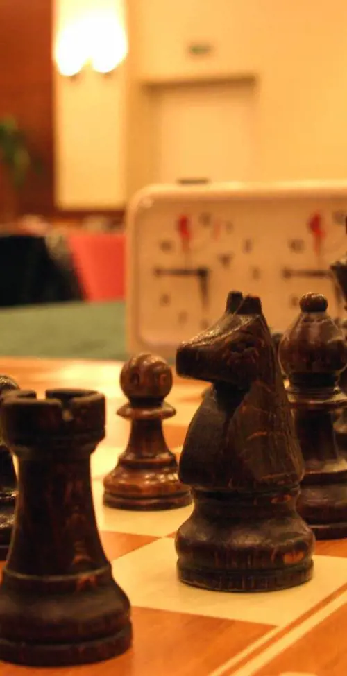 Un Maestro di dodici anni allinternazionale di scacchi