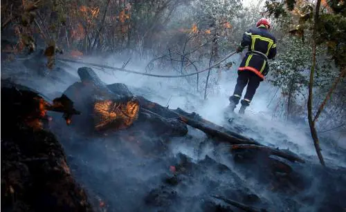 Canta la Roma dantan