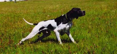 «Gran lavoratore, sera fatto da solo»