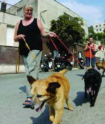 AllAmiu le multe sui cani