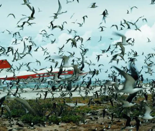 Attività e marchi di Parmatour a «I Grandi Viaggi»