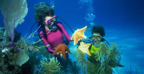 Antico e moderno secondo Paolucci