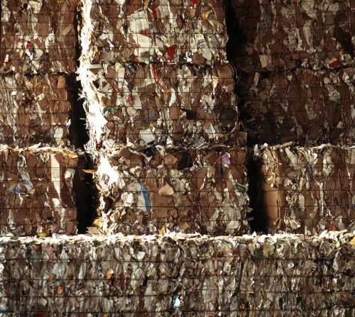 Diventa beato Von Galen, il cardinale antinazista