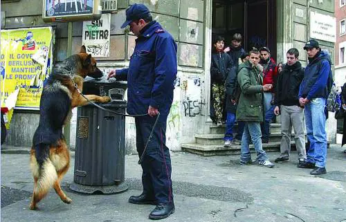 Ora il caso Codrea fa scricchiolare la giunta regionale