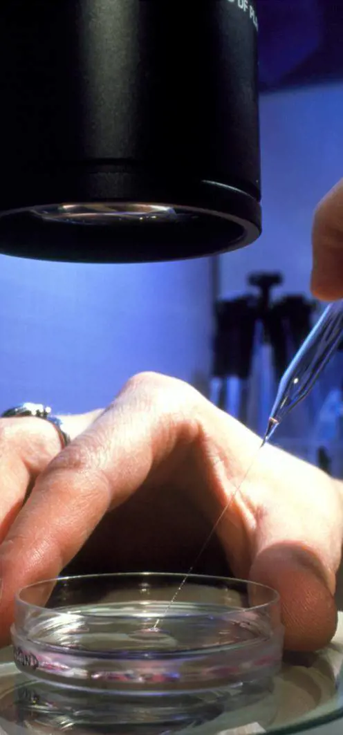 Valeria Golino attonita maestra nella triste provincia piemontese