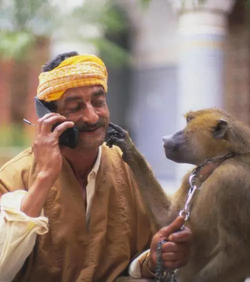 Bush avverte Abu Mazen: «Fermi le fazioni armate»
