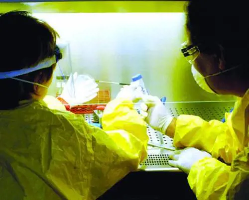 Un cimitero di auto bruciate