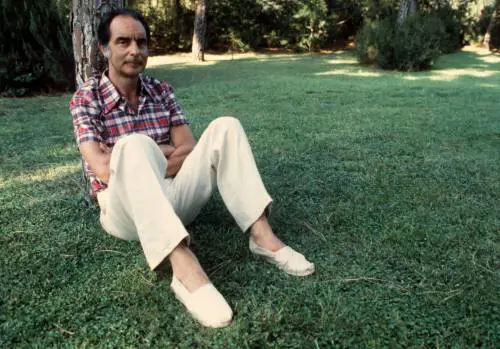 «Potrei intitolare il nuovo parco a Celentano»