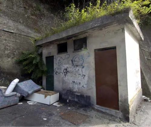 Un safari tra ruderi e bisce la visita al cimitero di Rivarolo