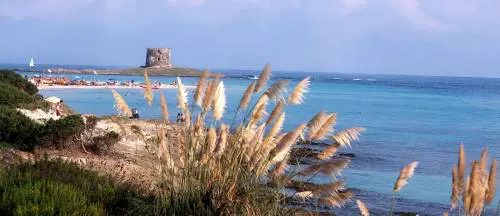 Scuola islamica, sarà lEgitto a decidere