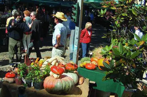 Lultima dei Mohicani È morta la nonnina degli indiani Uncas