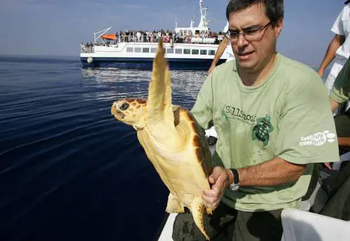 «CHI LHA VISTO?» INDAGA IN PROPRIO