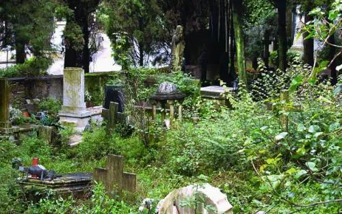 I genovesi pagano per pulire i vialetti-giungla di Staglieno