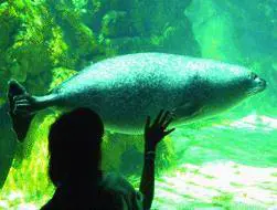 Una ottima occasione  per scoprire lintera città