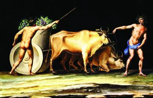 Domenica 29 gennaio urne dellUlivo aperte Per candidarsi servono più di 1.800 firme