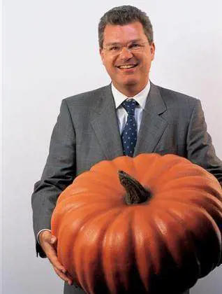 «Senza Ferrante il problema è stato risolto»