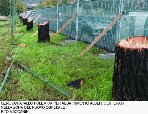 Il digitale a caccia dei segreti di Gibson e Dylan