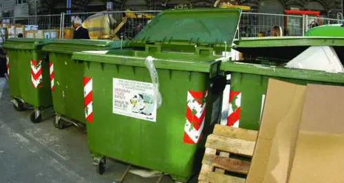 Nei carruggi-giungla di Rattopoli