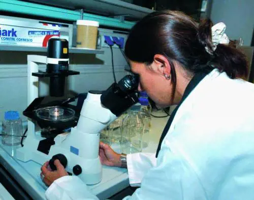 Costa imbarca cuochi indiani