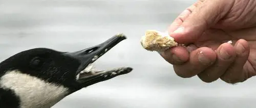 Treu: «Quel viaggio a Copenaghen per convincere Ds e Rifondazione»