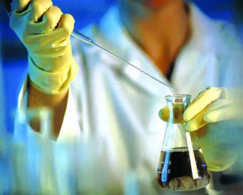 «Vicesindaco? Affar nostro» Sfida An-Lega allultimo voto