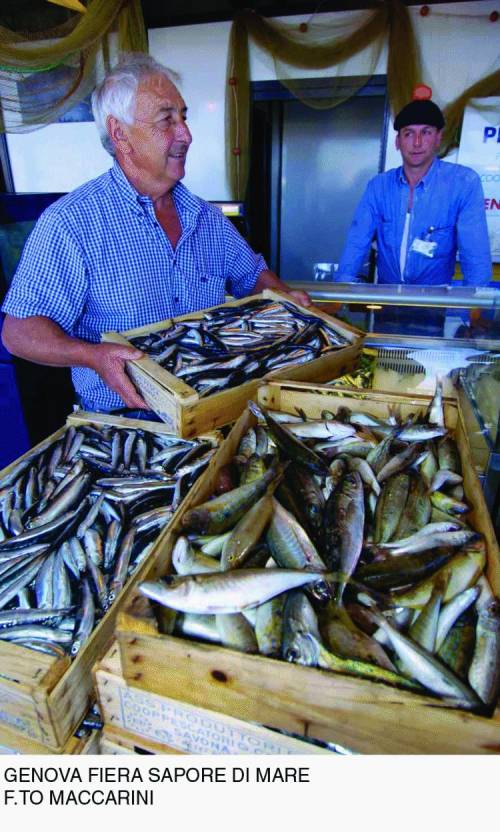 Genova per tre giorni capitale del gusto e del «pesce ritrovato»