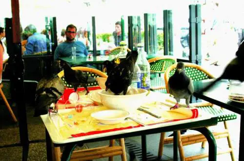 Da Alvito a Lodi, la parabola dellultimo Governatore a vita