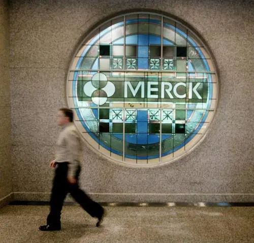 Stinco di vitello brasato «Ma il dono è il tempo»