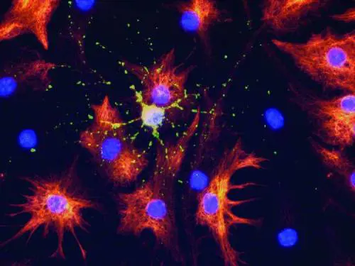 «Sono pronto a riferire ciò che so ai magistrati»