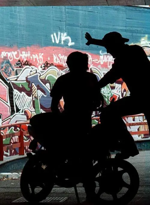 Gli studenti: «Listituto  Delpino è pulito»