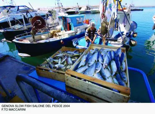 «Slow fish», di lento cera soprattutto il servizio