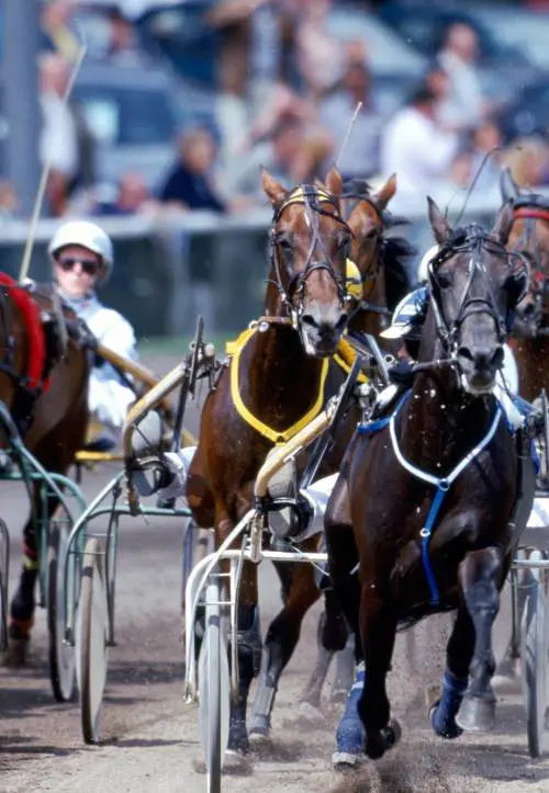 Edison accorcia il piano industriale ma rafforza linvestimento sul gas