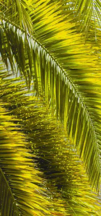 Lenergia Enel nei quattro elementi