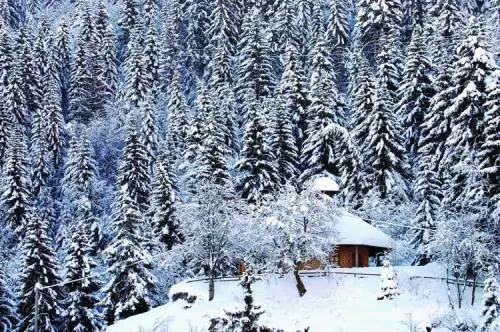 Sulle nevi del Bondone la leggenda torna realtà