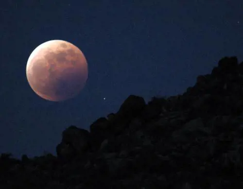 «No allolio combustibile nelle nostre centrali»