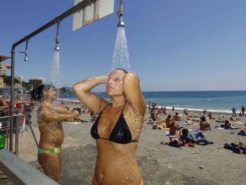 L’alga tossica può tornare