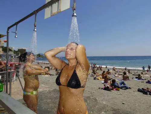 Lalga tossica può tornare