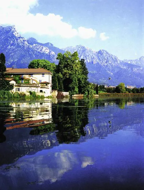 DAlema attacca gli Usa «Usano il fosforo in Irak sono come i kamikaze»