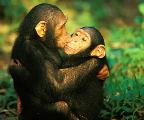 Così nelle scuole arabe ci insegnano a odiarvi