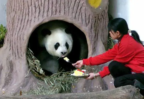 Raul Midón: il fascino  del nuovo soul